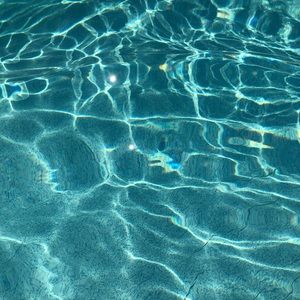 Meet your Posher, Jenelle